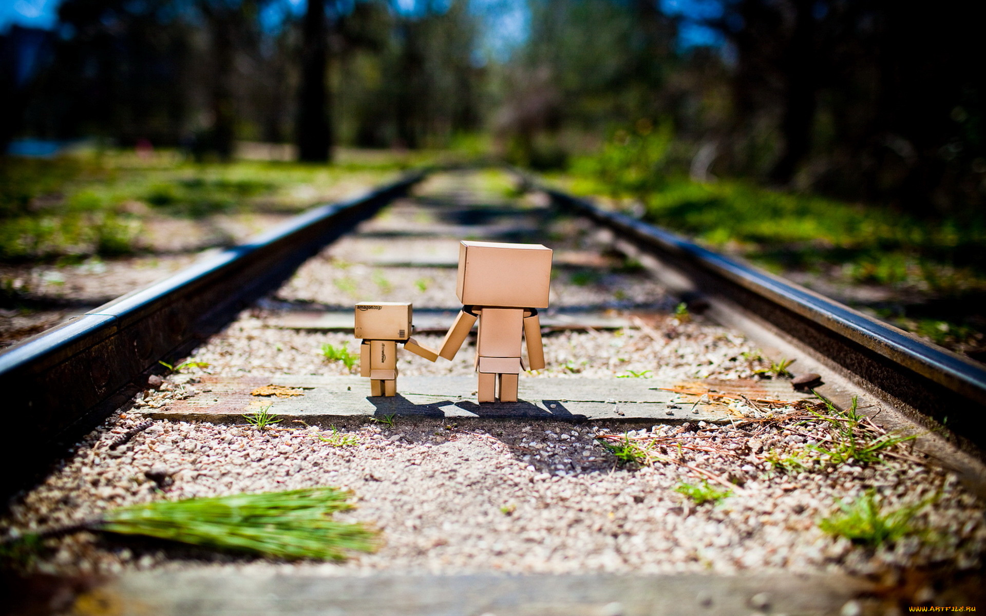 , , danboard